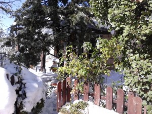 GAte in snow